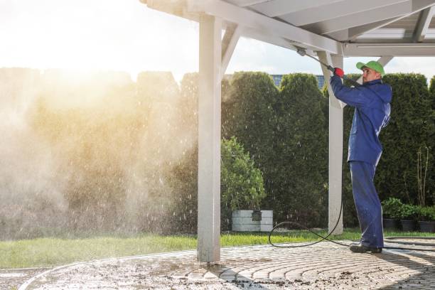 Best Driveway Pressure Washing  in Altadena, CA